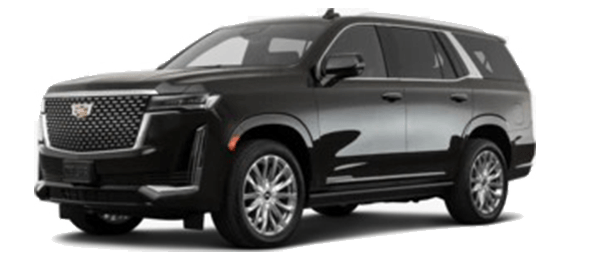 Fleet - Limousine Airport